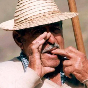 Silbo Gomero fluittaal